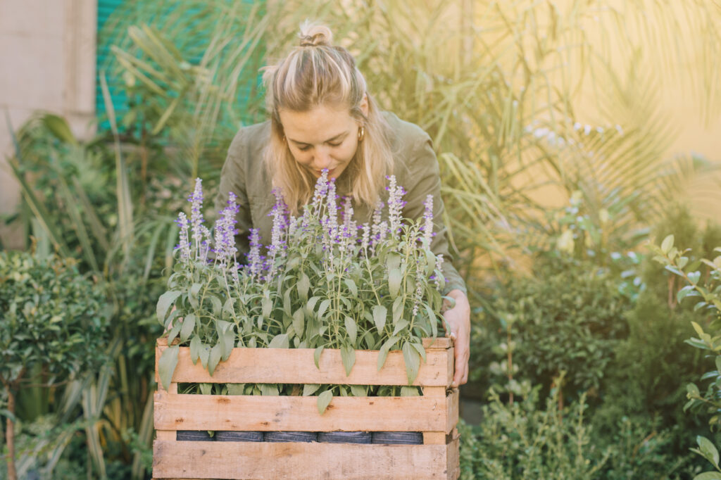 grow herbs at home