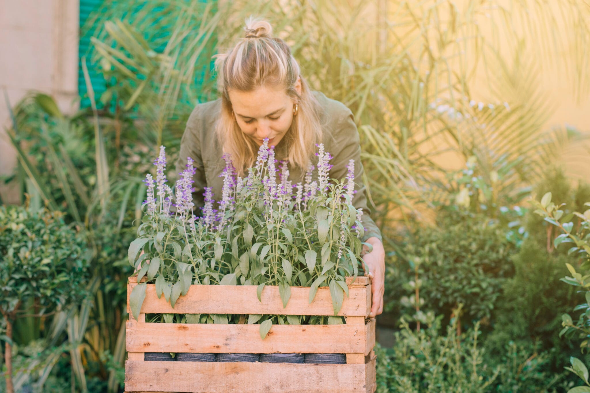 How to Grow Herbs at Home: A Simple Guide for Beginners - mrherborist.com