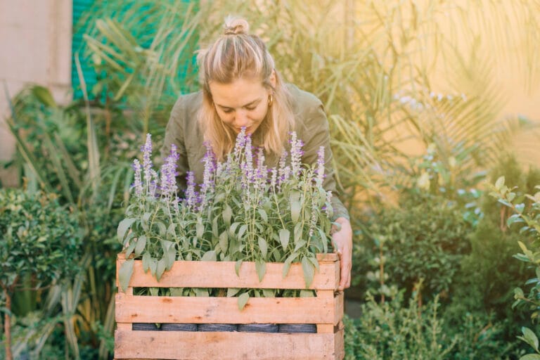 How to Grow Herbs at Home: A Simple Guide for Beginners - mrherborist.com