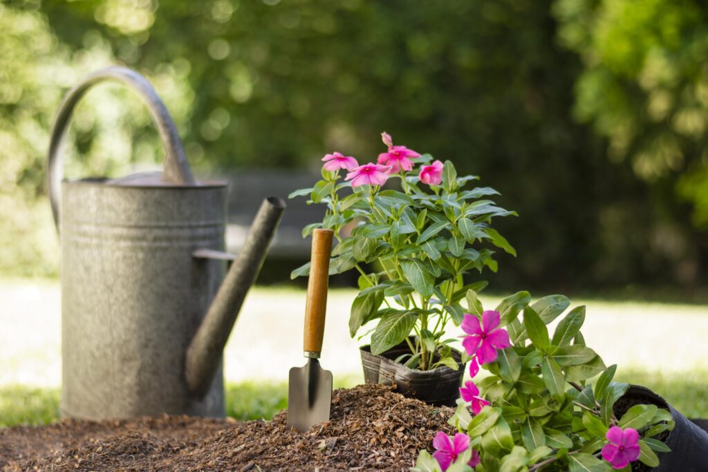 small home garden