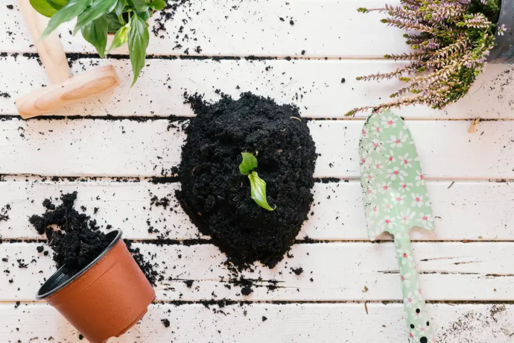 houseplant compost