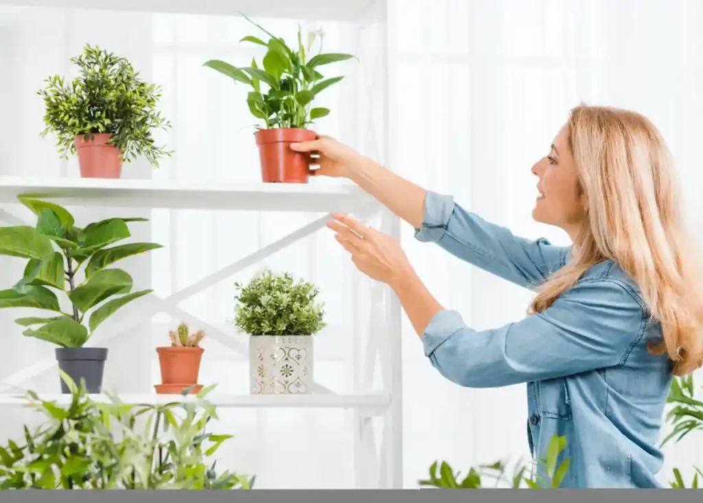 Unique Indoor Plants to Transform Your Space