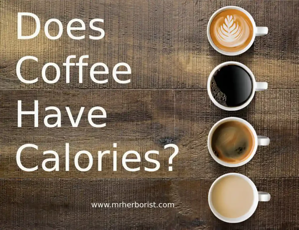 Does Coffee Have Calories?