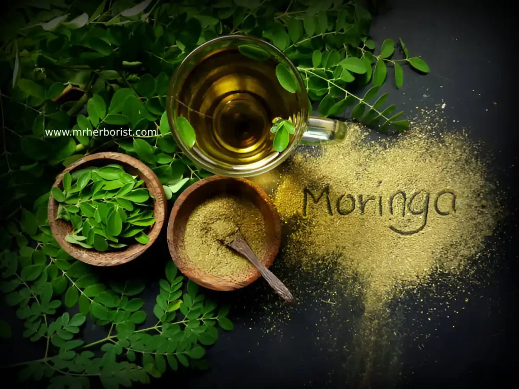 moringa tea benefits