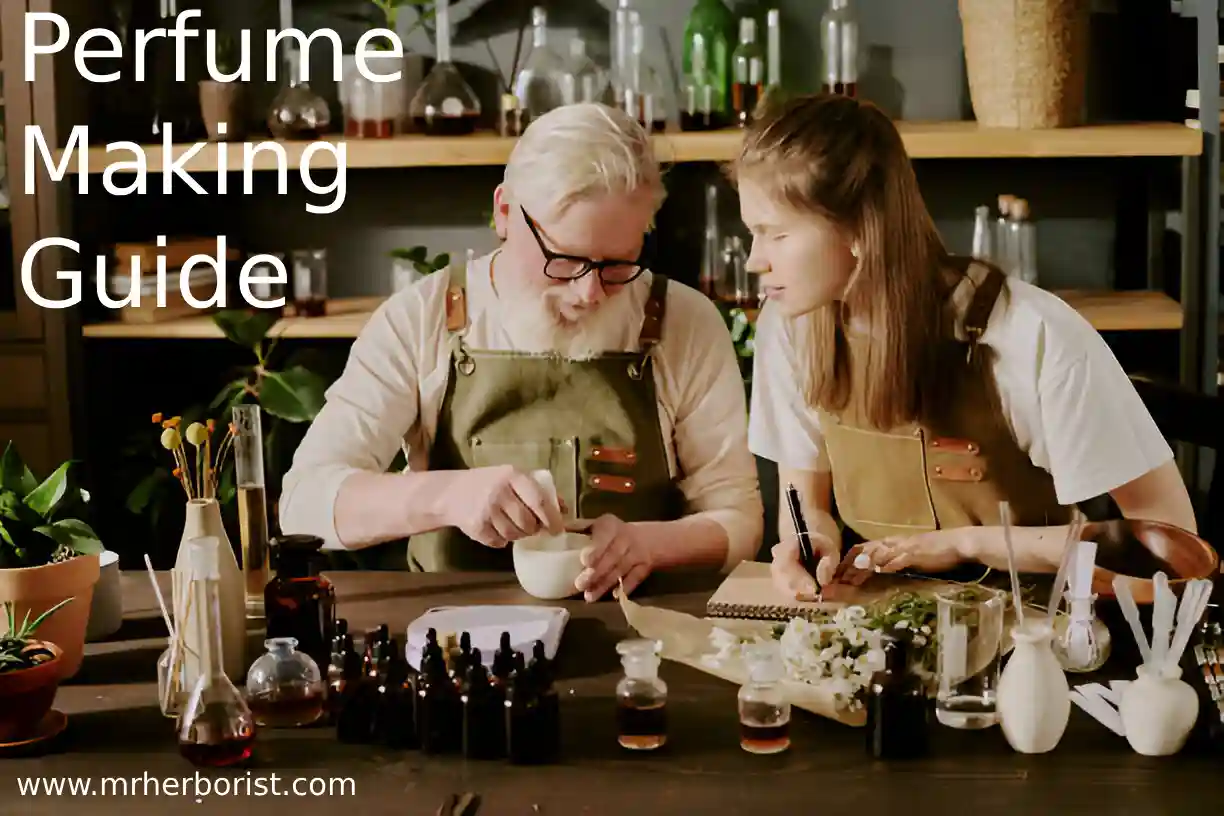 Perfume Making Guide