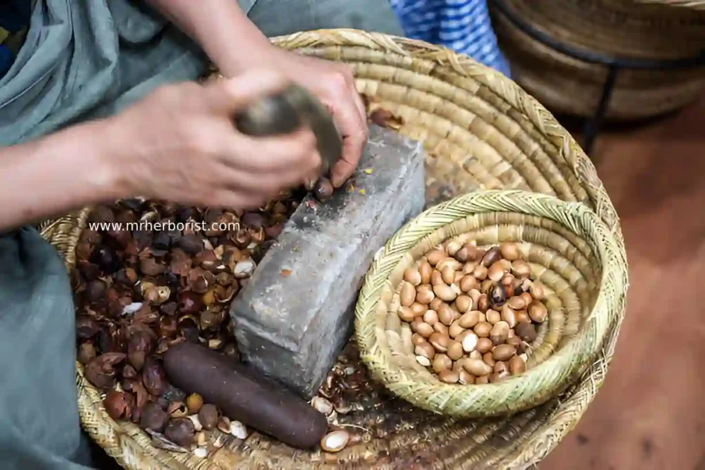 Argan oil from Morocco