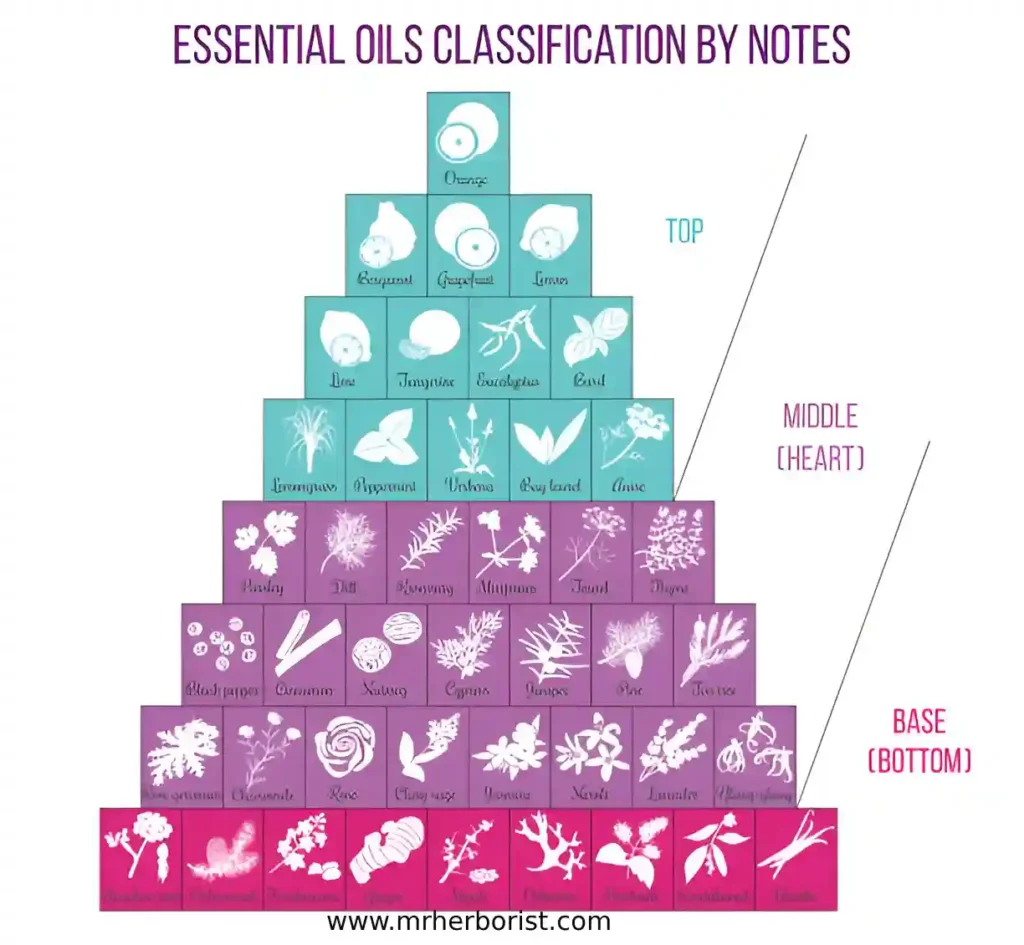 pyramide oils essentials Perfume Making Guide