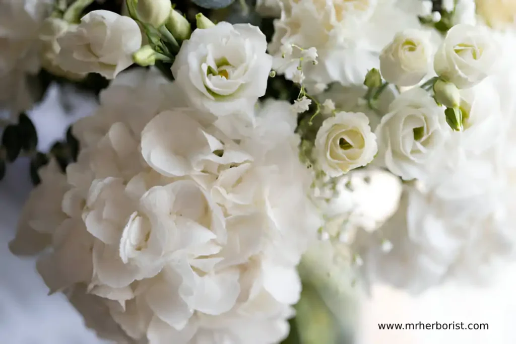  White Flowers for Weddings: Creating Beautiful Arrangements